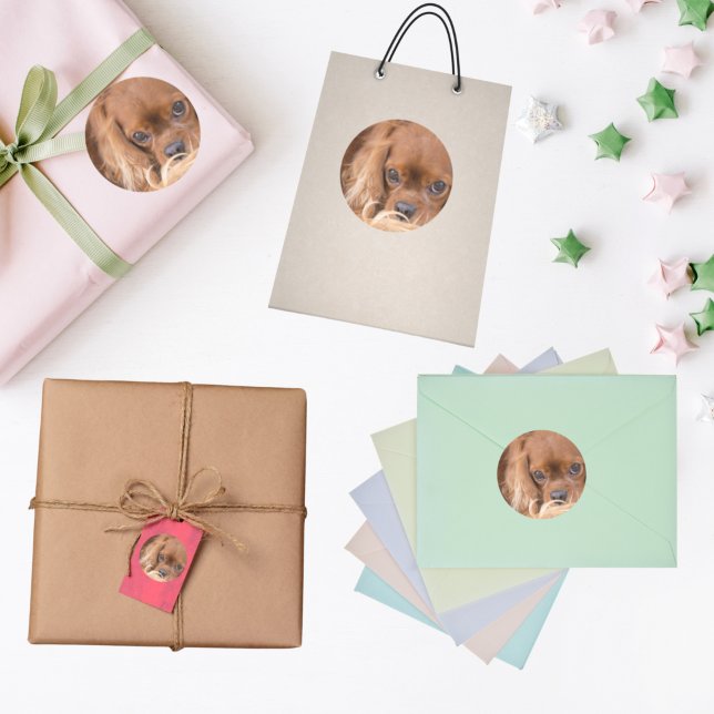 Sweet Ruby Cavalier King Charles Spaniel Classic Round Sticker (Creator Uploaded)