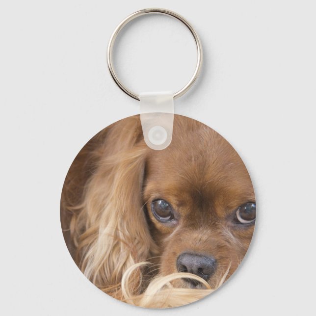 Sweet Ruby Cavalier King Charles Spaniel Key Ring (Front)