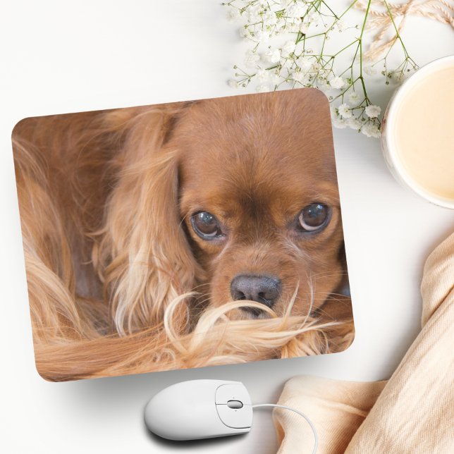 Sweet Ruby Cavalier King Charles Spaniel Mouse Mat (Charming King Charles Spaniel Mousepad: Elevate Your Workspace with Adoration.)