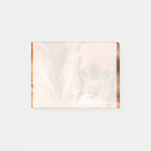 Sweet Ruby Cavalier King Charles Spaniel Post-it Notes