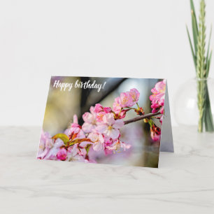 Sweet Sakura Flowers In The Garden In Springtime Card