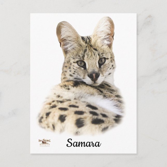 Sweet Samara Postcard (Front)