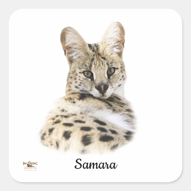 Sweet Samara Square Sticker (Front)
