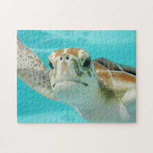 Sweet Sea Turtle Face in Clear Water Jigsaw Puzzle