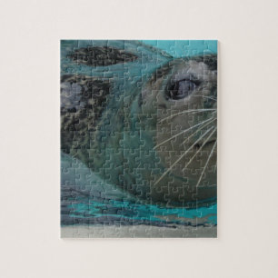 Sweet Seal Jigsaw Puzzle