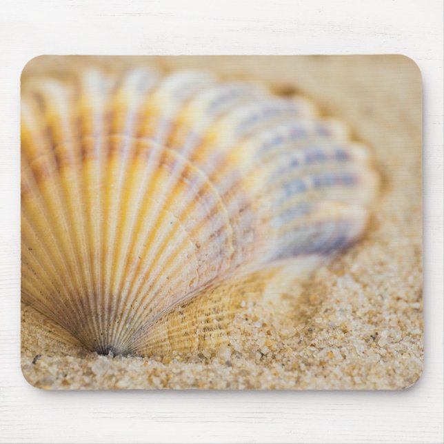 Sweet Seashell Mouse Mat (Front)