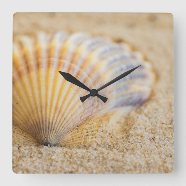 Sweet Seashell Square Wall Clock (Front)