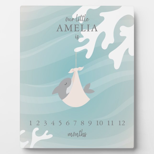 Sweet Shark Baby Milestone Plaque (Front)