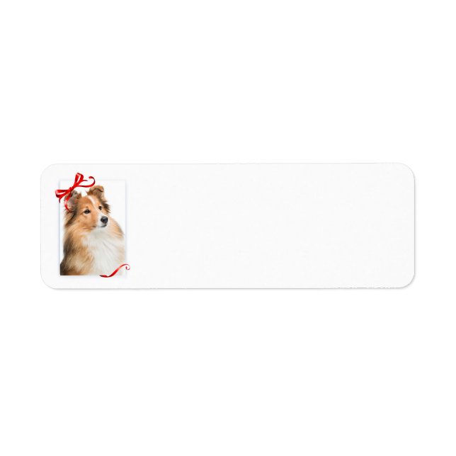 Sweet Sheltie Return Address Labels (Front)