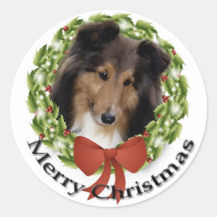 Sweet Sheltie Sticker