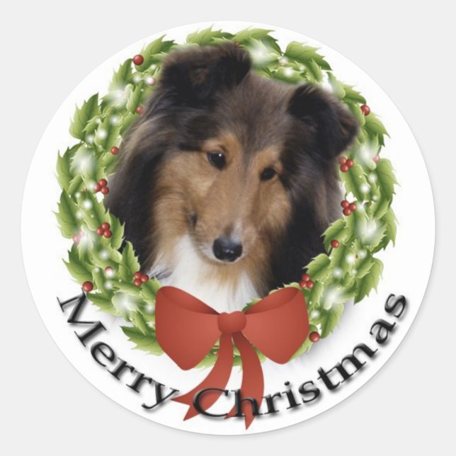 Sweet Sheltie Sticker (Front)