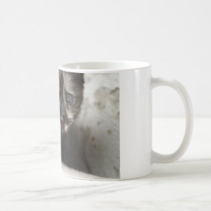 Sweet Shy Tortoiseshell Baby Coffee Mug