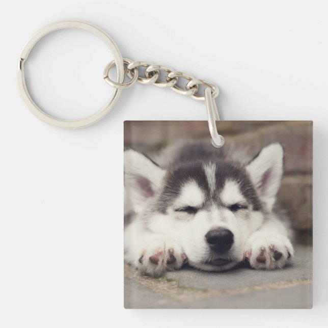 Sweet Siberian Husky Puppy Sleeping Key Ring (Front)