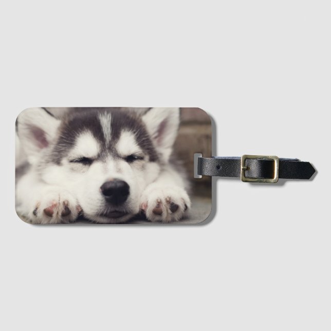 Sweet Siberian Husky Puppy Sleeping Luggage Tag (Front Horizontal)