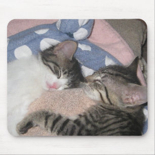 Sweet Sleeping Kittens Mouse Mat