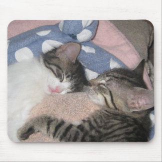 Sweet Sleeping Kittens Mouse Mat
