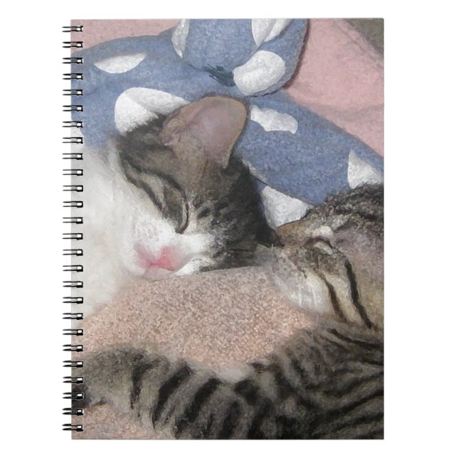 Sweet Sleeping Kittens Notebook (Front)