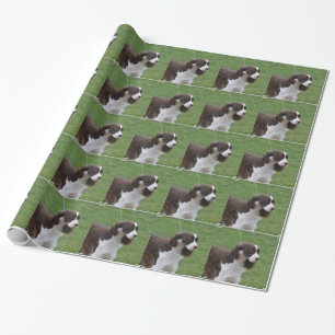 Sweet Springer Spaniel Wrapping Paper