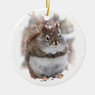 Sweet Squirrel Ceramic Tree Decoration