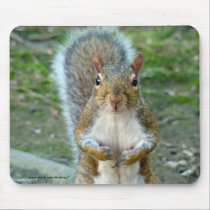 Sweet Squirrel Face Mouse Mat