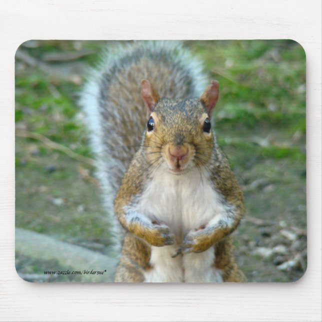 Sweet Squirrel Face Mouse Mat (Front)