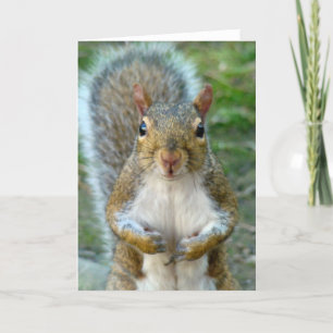 Sweet Squirrel Face (vertical) Card