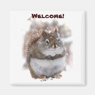 Sweet Squirrel Welcome Magnet