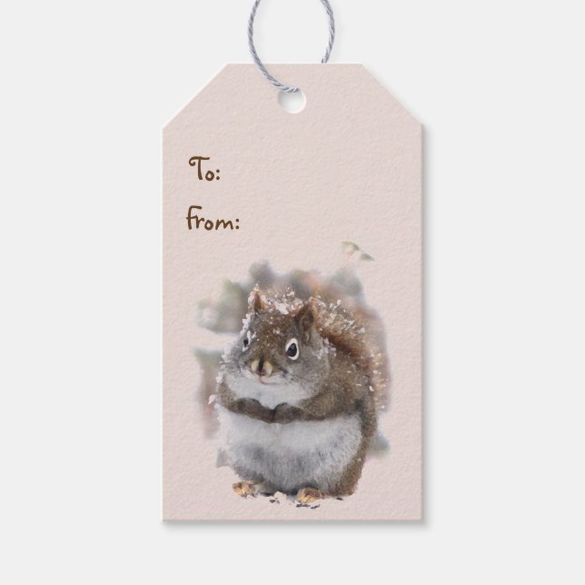 Sweet Squirrels Pack of Gift Tags (Front)