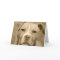 Sweet Staffie Face Greeting Card