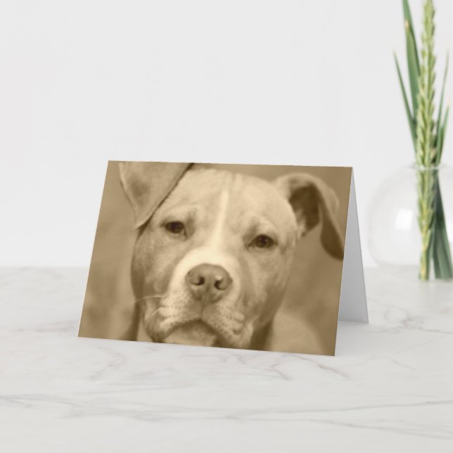 Sweet Staffie Face Greeting Card (Front)