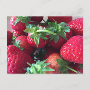 Sweet Strawberries Postcard