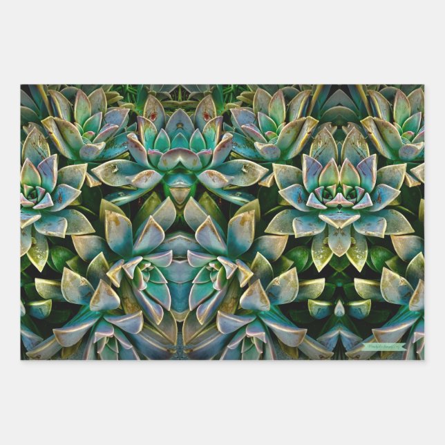 Sweet Succulent Wrapping Paper Sheets  (Front)
