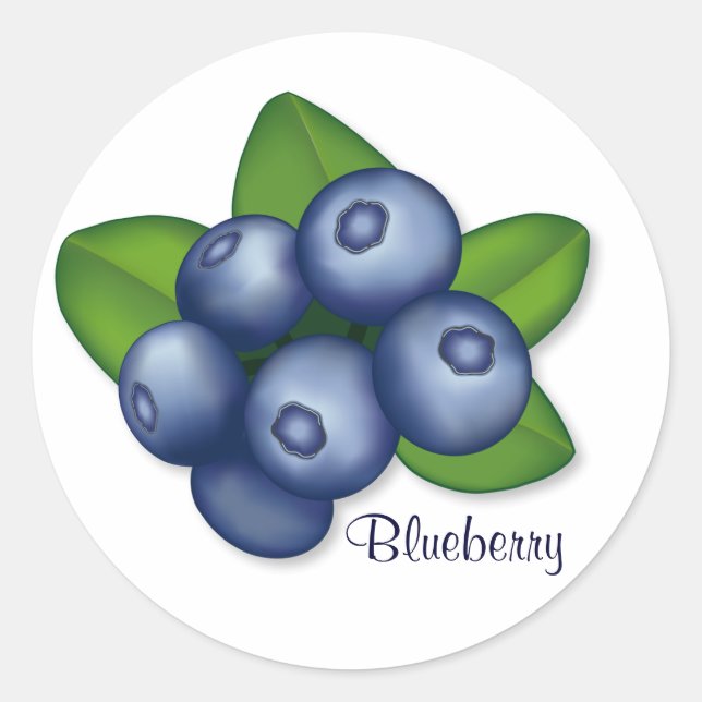 Sweet Summer Blueberry Fruit Classic Round Sticker (Front)