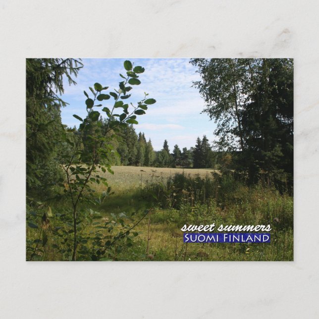 Sweet Summers in Suomi Finland Postcard (Front)