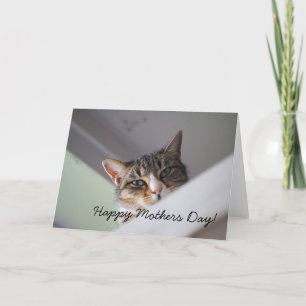 Sweet Tabby Cat Happy Mothers Day Card
