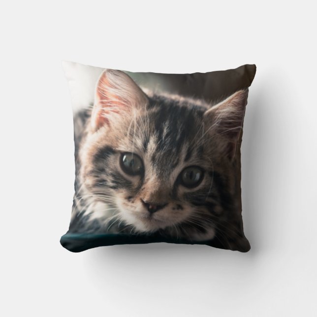 Sweet Tabby Cushion (Front)