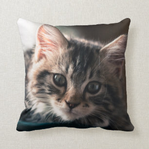 Sweet Tabby Cushion
