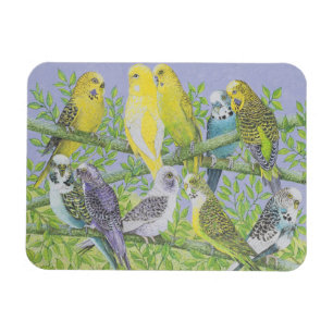 Sweet Talking Magnet