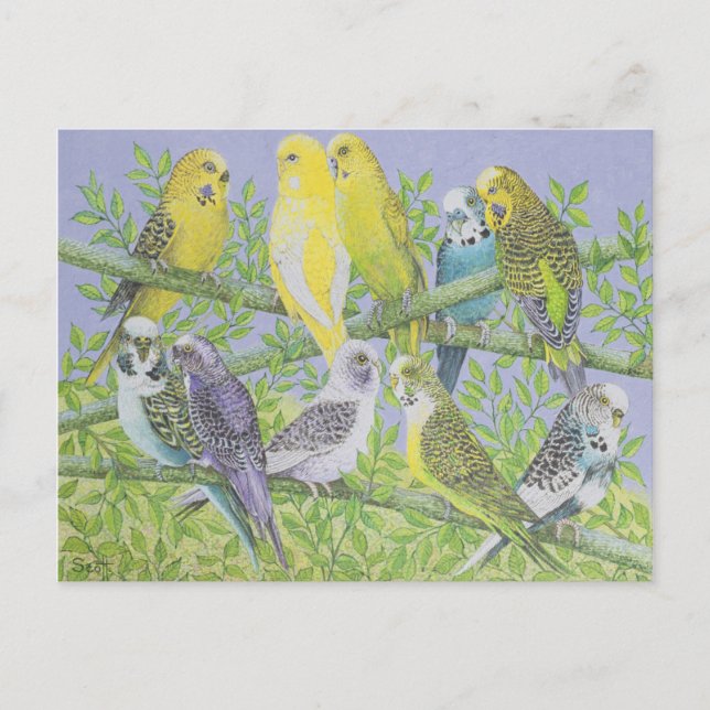 Sweet Talking Postcard (Front)
