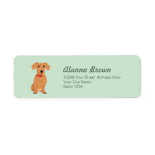 Sweet Tan Dachsund with Neck Ribbon for Dog Lovers