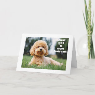 SWEET TEDDY BEAR says "HAPPY "60th BIRTHDAY" Card