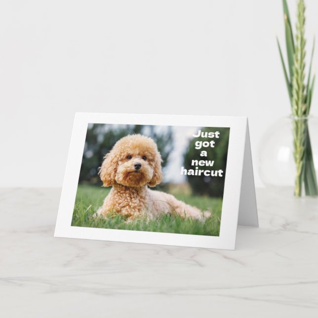 SWEET TEDDY BEAR says "HAPPY "60th BIRTHDAY" Card (Front)