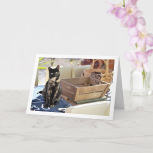 Sweet Tortoiseshell Kitten Card