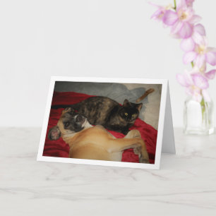 Sweet Tortoiseshell Kitten with Puppy Card