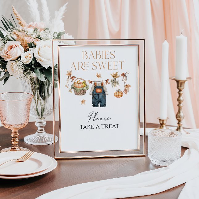 Sweet Treat Pumpkin Rustic Fall Baby Shower Poster (Creator Uploaded)