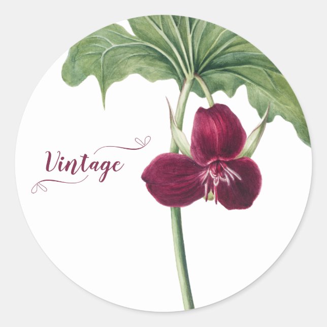 Sweet Trillium Botanical  Classic Round Sticker (Front)