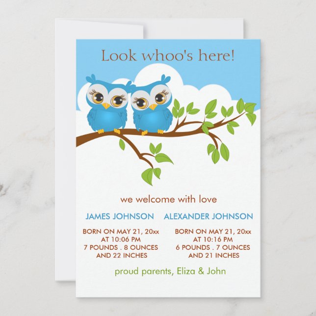 Sweet Twins Owls Baby Boy Birth Announcement Card (Front)