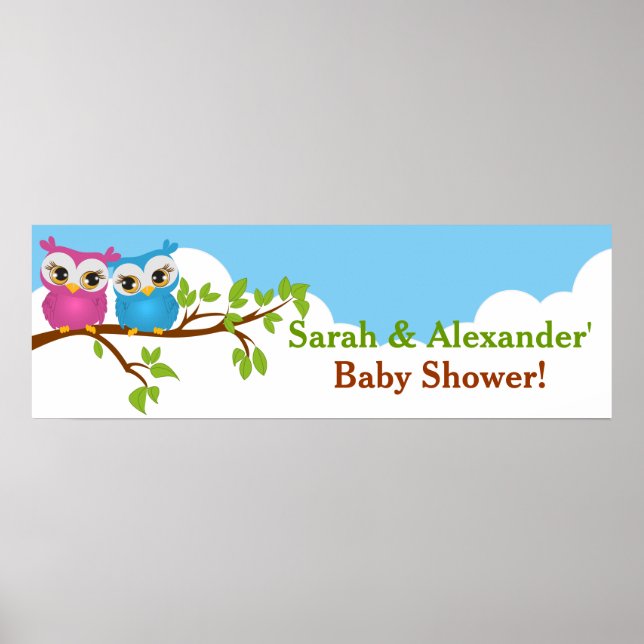 Sweet Twins Owls Boy Girl Baby Shower Banner Poster (Front)