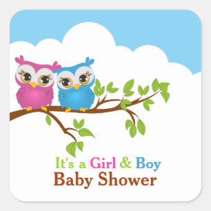 Sweet Twins Owls Boy Girl Baby Sticker