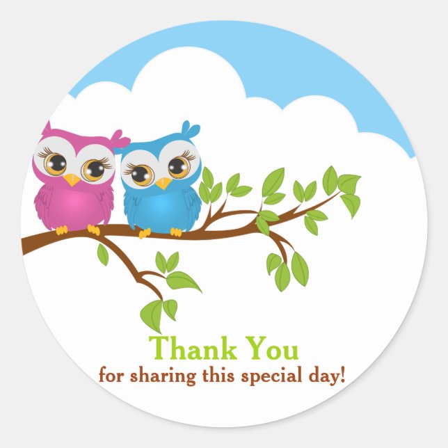 Sweet Twins Owls Girl boy Baby Thank You Sticker (Front)